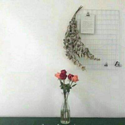 封仙之凡人修仙传手游下载