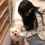 趣味拼图乐园官方版下载